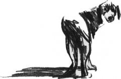 ��Ȯ���Ļ������� ��δ�����Ȯ��