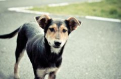 ����ҧ�᲻��ÿ�Ȯ�� ʲô�����û��