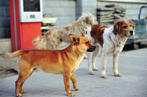 ��Ȯ����֢״ ��Ȯ��������