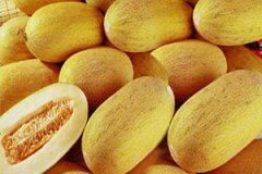 ���ܹϵĹ�Ч����Щ ���ܹϵ���ѡ����