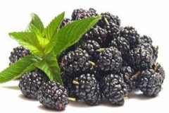 ��ݮ�Ĺ�Ч����Щ ��ݮ����������Щ�ô���