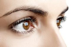 ��Ĥ�׵����� ���Ʒ�����ע������