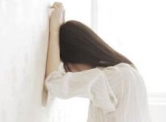 ��ϸ���������� ʲô�ǽ�ϸ����������