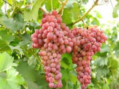 �и��μ����� �ܹ���������