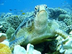 �и��μ����� �ܹ����κ���