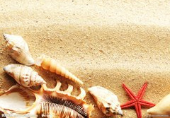 梦见海滩的寓意 周公解梦海滩