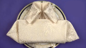 用餐巾纸折衬衫的折法