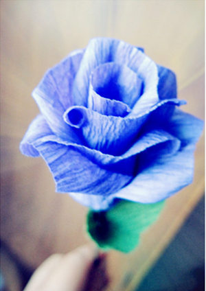 �ֹ�õ�廨���� Ư�����ֹ�õ�廨����