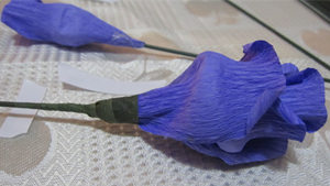 �ֹ�õ�廨���� Ư�����ֹ�õ�廨����