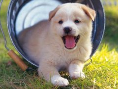 �ܹ������μ������Ԣ�� �ξ�������ȫ