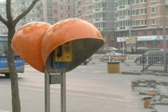 �ܹ������μ��绰ͤ��Ԣ��