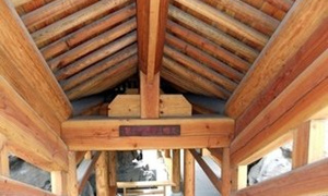 �μ�������Ԣ�� �ܹ����η���