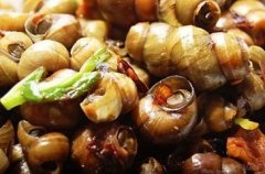 �μ����ϵ�Ԣ�� �ܹ���������