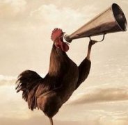 �μ��������� �ܹ����ι�������