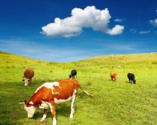 �μ�������ʲôԢ�� �ܹ���������