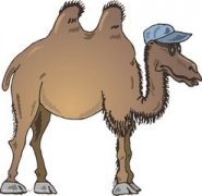 �и��μ�������ʲôԢ�� �ܹ���������