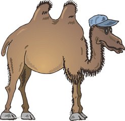 孕妇梦见骆驼有什么寓意 周公解梦骆驼