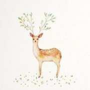 �и��μ�¹��Ԣ�� �ܹ�����¹