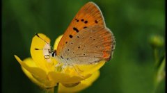 �и��μ����� �ܹ����κ���