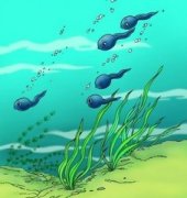 �и��μ���� �ܹ��������