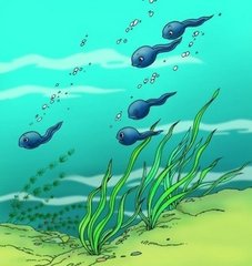 �и��μ���� �ܹ��������