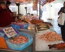 �μ�������ʲôԢ�� �ܹ���������