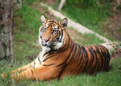 �μ��ϻ���ʲôԢ�� �ܹ������ϻ�