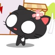 �μ�һȺè׷�� �ܹ�����è׷��