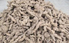 �μ������Ԣ�� �ܹ����ξ���