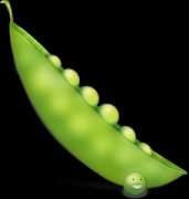 �μ����Ե�Ԣ�� �ܹ����ζ���