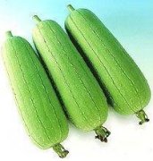 �μ�˿������ʲô��˼ �ܹ�����˿��