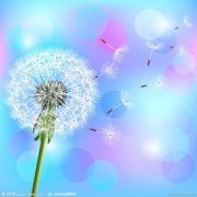 �μ��ѹ�Ӣ �ܹ������ѹ�Ӣ