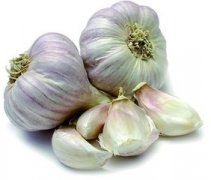 �μ�����ʲô��˼ �ܹ�������