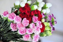 �μ���ĸ���� �ܹ�������