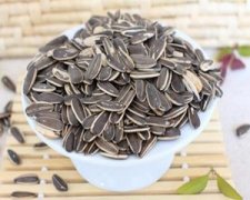 �μ����ӵ�Ԣ�� �ܹ����ι���