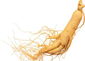 �и��μ��˲��ܹ����� �μ��˲ε�Ԣ��