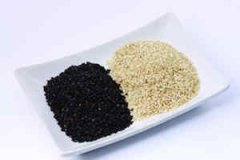 �ܹ�����֥�� �μ�֥���Ԣ��