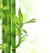 �ܹ��������� �и��μ�����