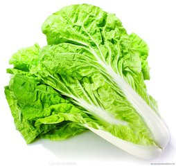 �и��μ��ײ��ܹ����� �и��μ��ײ�