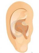 �μ��Լ�������Ѫ�ܹ����� �μ������Ѫ