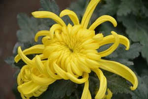 �и��μ��ջ��ܹ����� �μ��ջ���Ԣ��