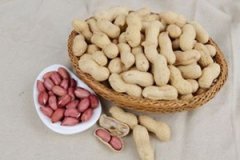 �и��μ������ܹ����� �μ�������Ԣ��