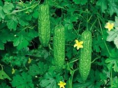 �ܹ����ο�� �μ���ϵ�Ԣ��