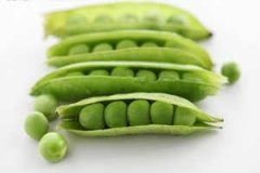 �ܹ����ζ��� �μ����Ե�Ԣ��