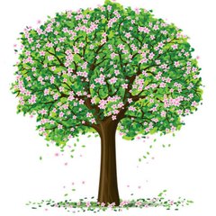 周公解梦梦见三棵大树的寓意