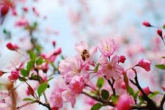 �ܹ������и��μ�ӣ����Ԣ��