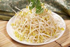 �ܹ������μ��ƶ�ѿ��Ԣ��