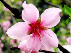 �ܹ�����Ư�����һ��ξ�����