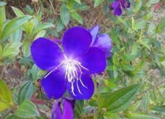 �μ���ɫ�Ļ��ܹ����δ�ȫ