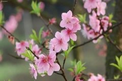 �ܹ������и��μ��һ���Ԣ��